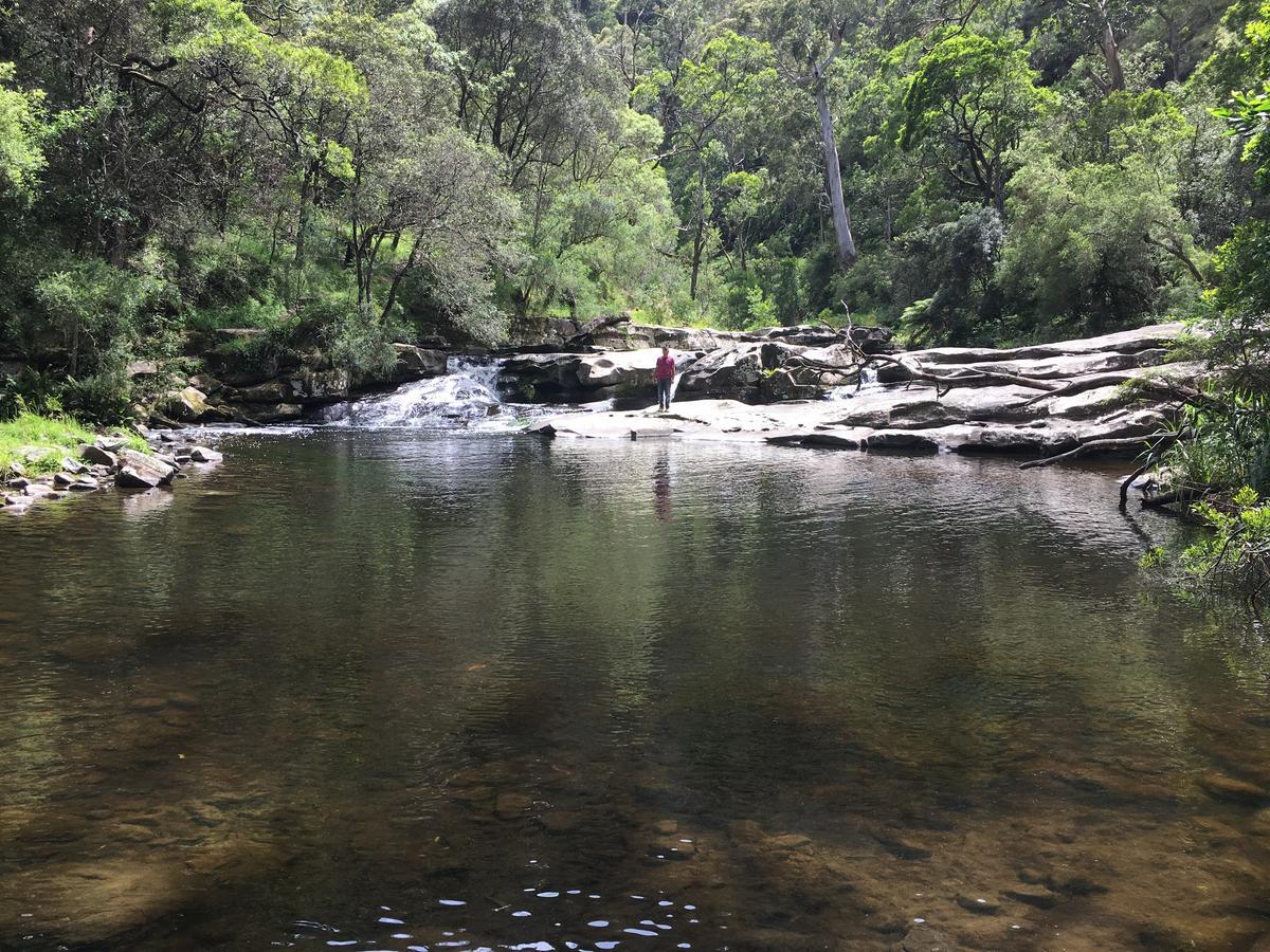 Cumberland River Holiday Park Lorne Exterior foto