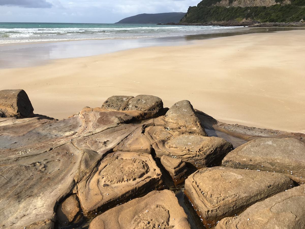 Cumberland River Holiday Park Lorne Exterior foto